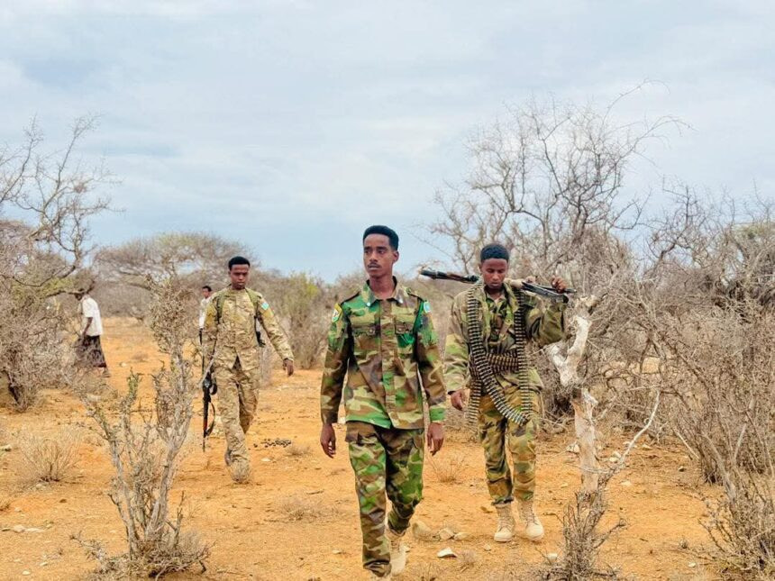 Senior Al-Shabaab Commander Killed in Bakool Operation