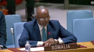 Somali Ambassador Emphasizes Importance of National Voice at UN