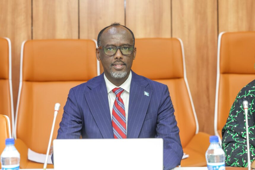 Somali, Algerian Trade Ministers Meet on Sidelines of Intra-African Trade Fair