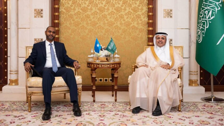 Somalia's Minister of Ports and Saudi Deputy Minister of Transport Discuss Strengthening Maritime Ties