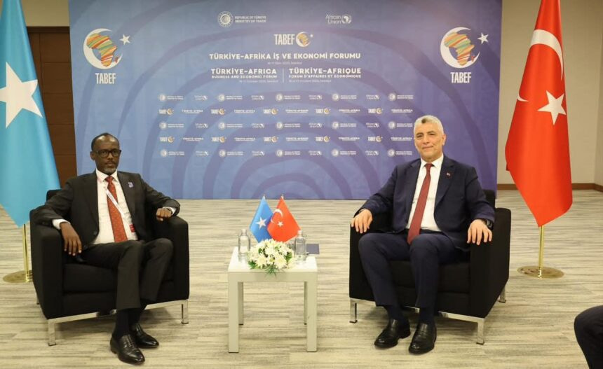 Somalia, Turkey Discuss Strengthening Trade and Market Access