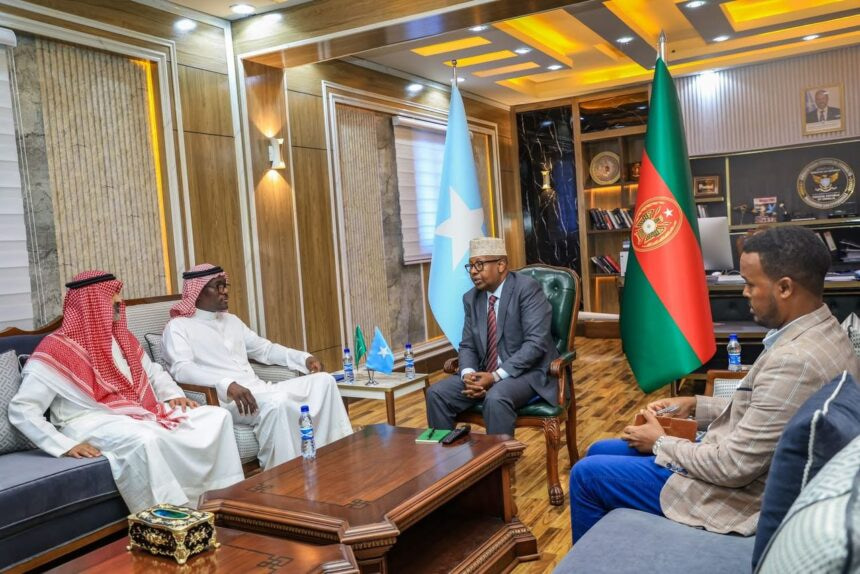 Defence Minister Fiqi Hosts Saudi Ambassador to Bolster Defence and Security Cooperation