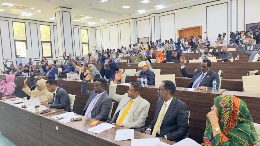 Members of the Parliament Approve Revised Anti-Piracy Law