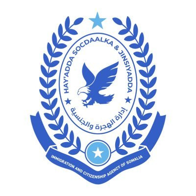 Somalia’s Immigration Authority Blocks Unlawful Attempt to Breach e-Visa Data
