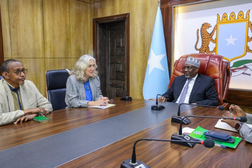 Speaker of the Parliament meets EU Ambassador to Somalia