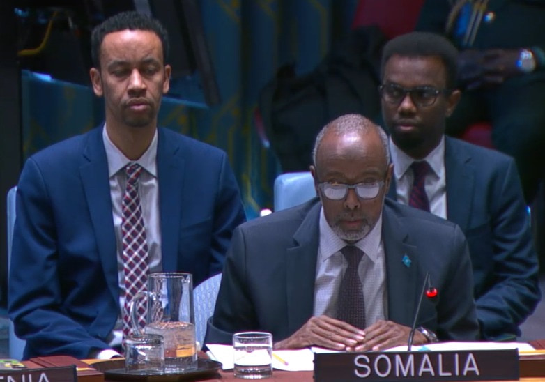 Somalia Urges Global Action as Conflict-Driven Hunger Surges