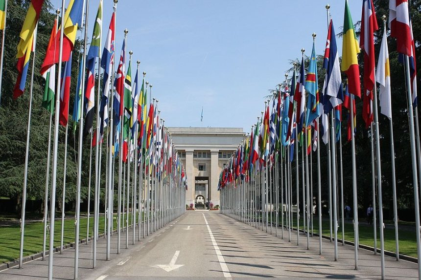International Community Rejects Israel’s Recognition of Somaliland, Reaffirms Support for Somalia’s Unity