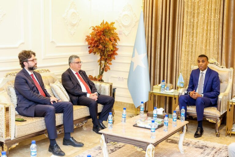 PM Hamza Barre Receives Turkish Deputy Minister; Leaders Commit to Expanding Strategic Infrastructure and Maritime Cooperation