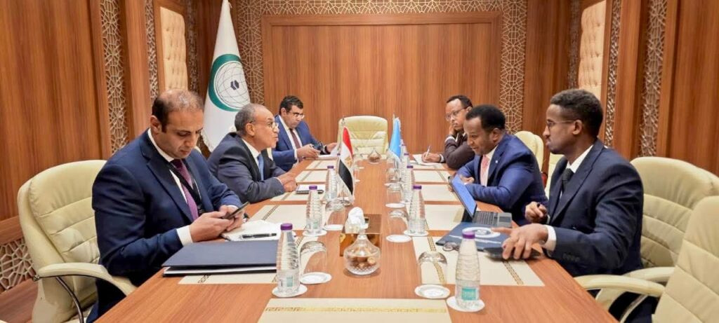 Somalia, Egypt Reject Any Move Undermining Somalia’s Unity at OIC Meeting in Jeddah