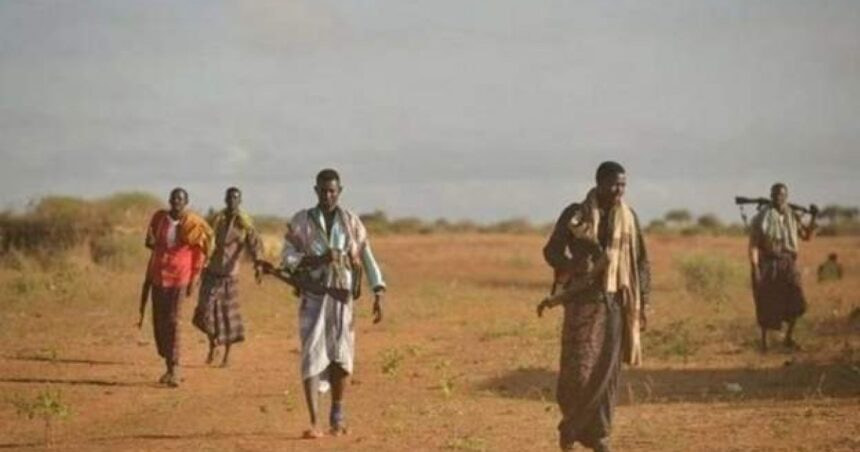 Local Forces Inflict Heavy Losses on Al-Shabaab in Hiiraan Region