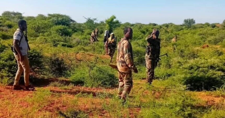 Somali National Army Seizes Al-Shabaab Water Storage Facility in Lower Shabelle