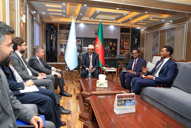 Minister of Defence receives a Turkish delegation in Mogadishu