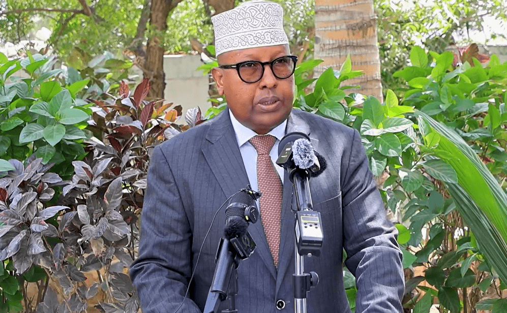 Defense Minister provides details on Al-Shabaab ringleaders eliminated by SNA