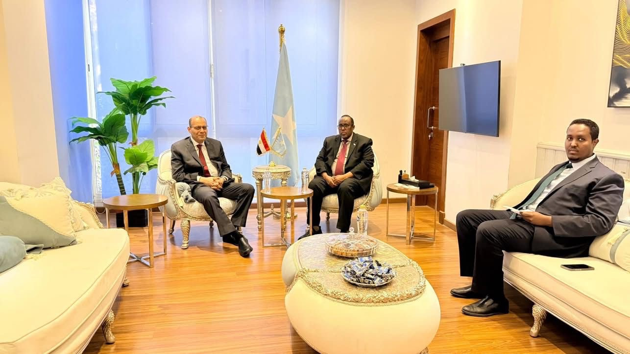 Somalia, Egypt discuss strengthening bilateral ties