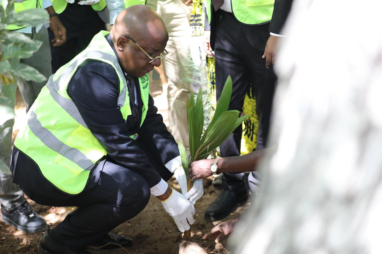 Information Minister, Daud Aweis Jama Joins Tree-Planting Campaign in Mogadishu