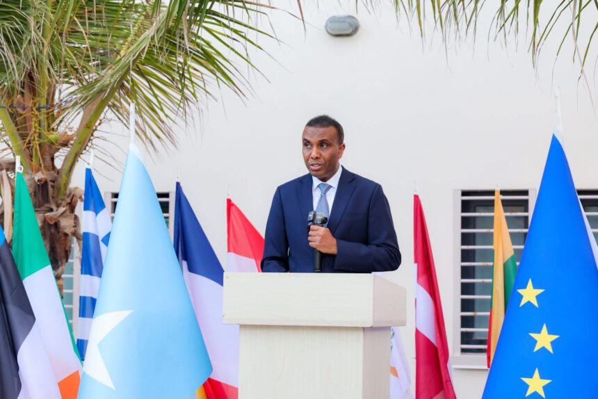 Somalia Needs Unity, Not Endless Political Disputes, PM Hamza Says at Europe Day Event