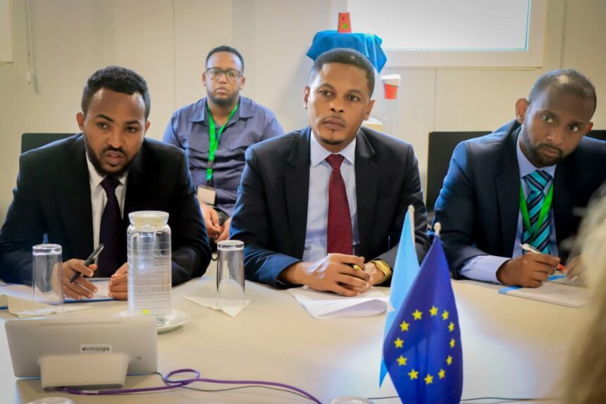 Somalia, EU Strengthen Cooperation on Media and Countering Misinformation