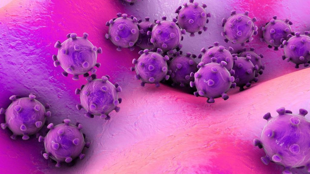 UN warns of more animal-to-human viruses