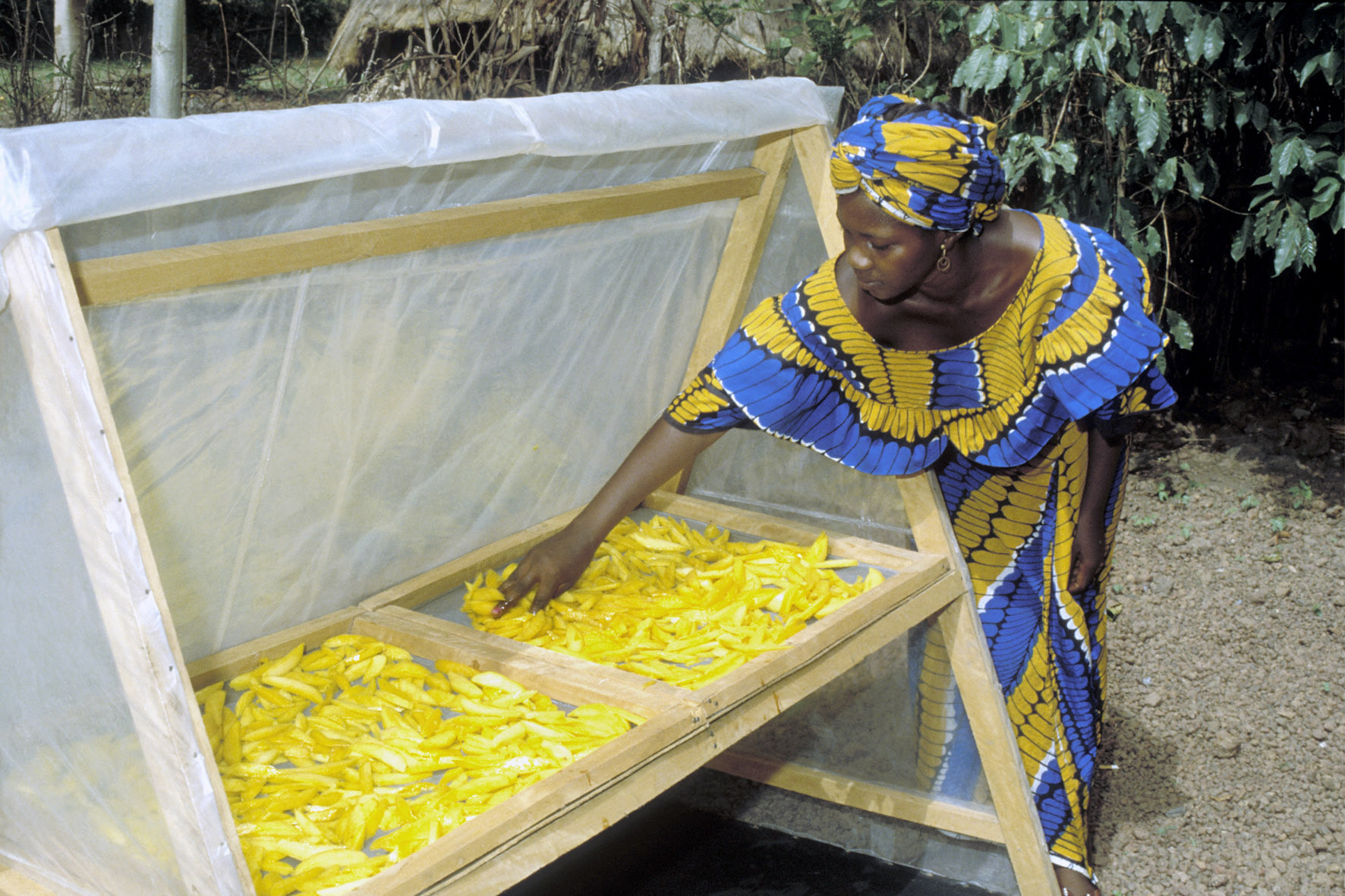Food losses increase during COVID-19, a major hurdle to Africa’s development