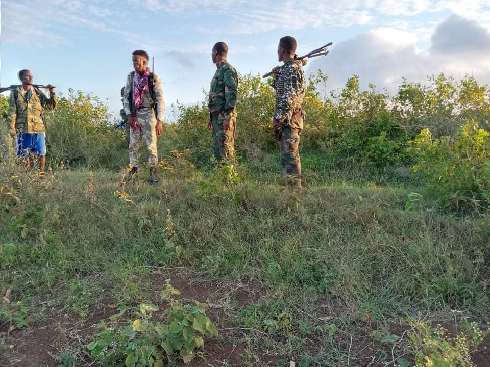 10 Al-Shabaab militants including senior commanders killed in operation