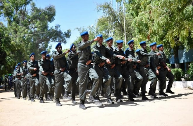 Security sector reform and economic recovery key priorities for post-COVID-19 Somalia