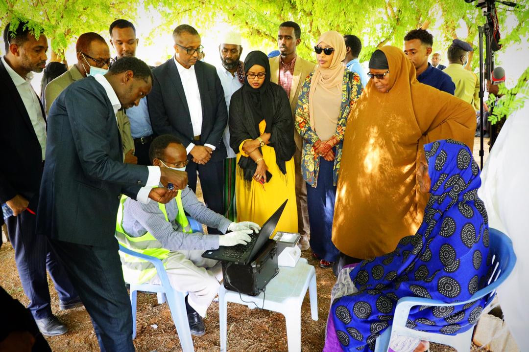 Somali Government provides funds to locusts affected families