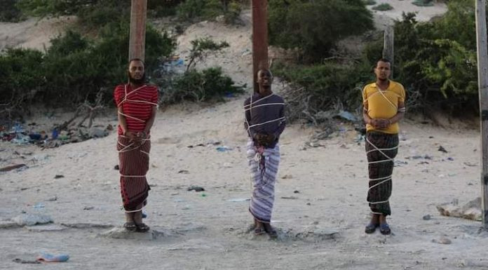 Military court executes top Al-shabab official and two others