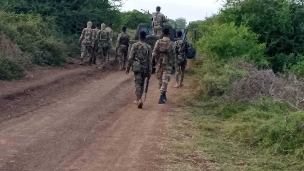 Government forces conduct military operation in Bay region