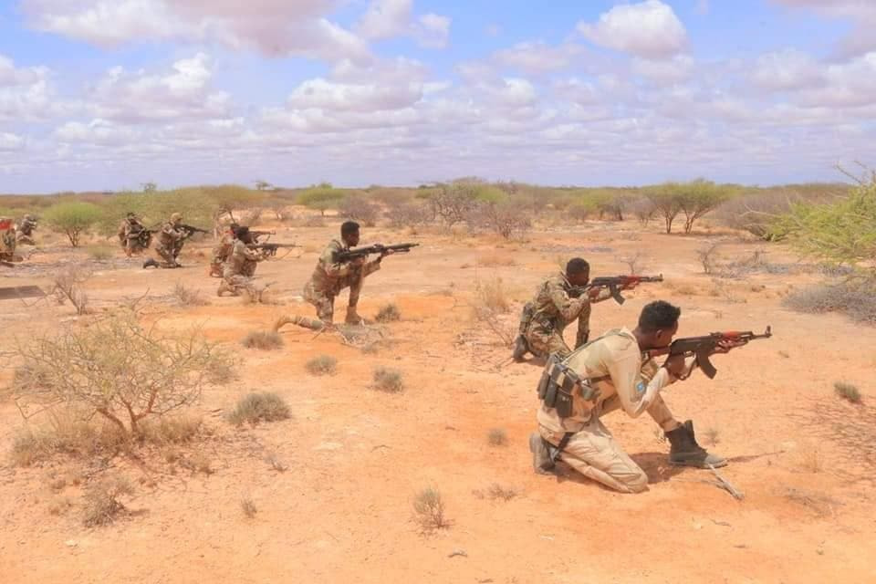 Somali National Army kills 15 terrorist fighters in Galgudud region