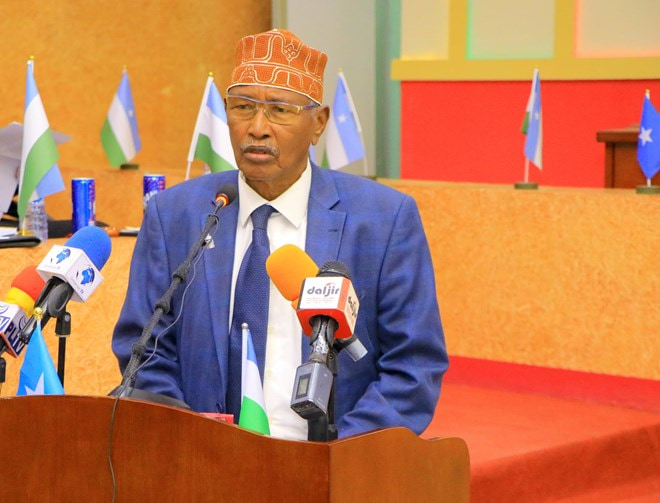 11 Members of Somalia's upper house Parliament elected in Puntland