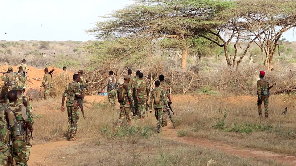 Somali National Army kills 2 Al-Shabaab militants in Janale town