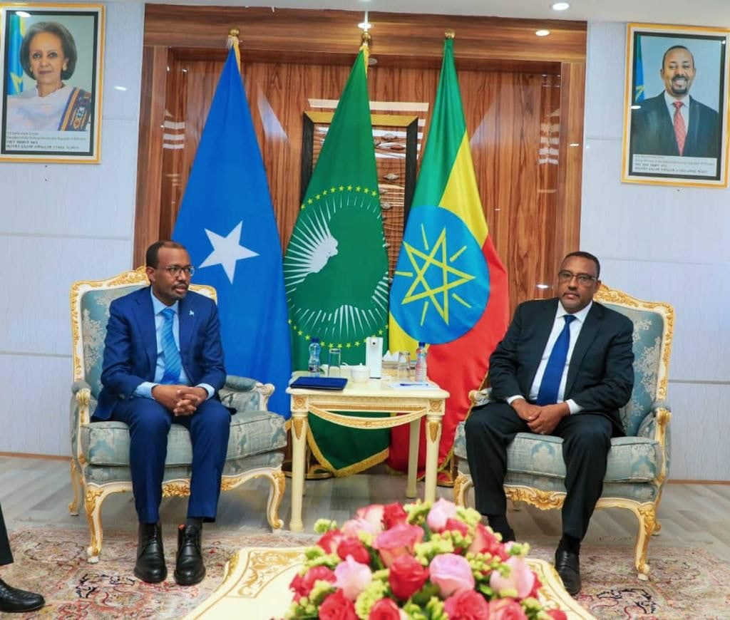 Foreign Minister meets with the Deputy Prime Minister and Foreign Minister of the Federal Democratic Republic of Ethiopia