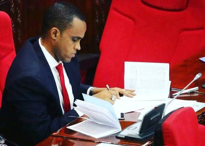 Somali born politician becomes key minister in Tanzanian government