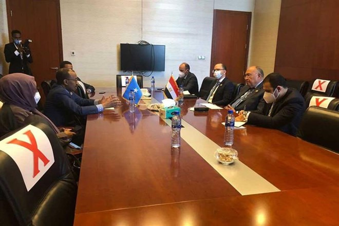 Egypt's FM urges expediting completion of Somali electoral arrangements ahead of planned polls