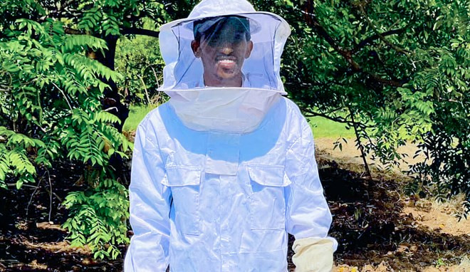 Bees, tractors and entrepreneurs: Supporting economic resilience in Somalia