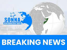 National Army kills 39 terrorist militants in central Somalia