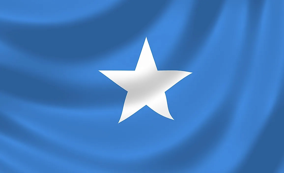 Somalia Joins the World in Observing International Mother Language Day