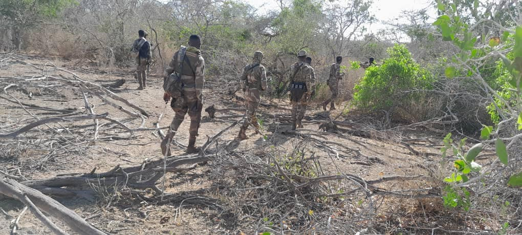Somali Army kills five Al-Shabaab militants, arrests one during operation
