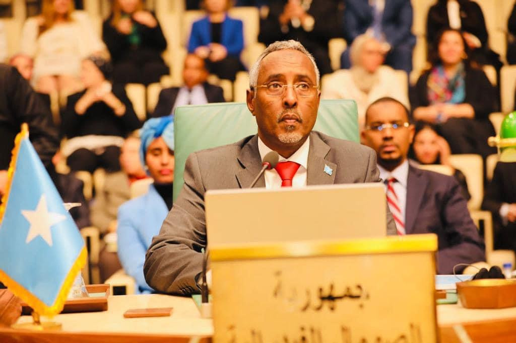The Somali Foreign Minister participates in the Council of Arab States in Cairo
