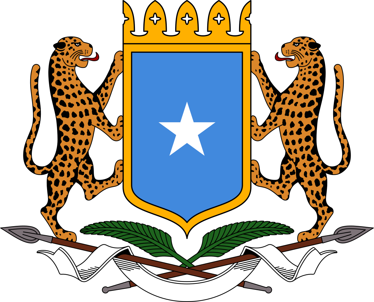 Somalia Launches Interconnection Service