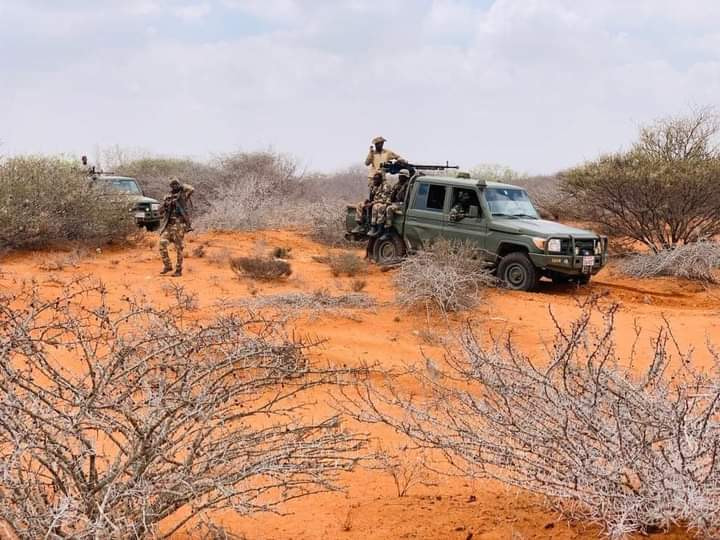 Orphaned and Hopeless: The Devastating Impact of Terrorism on Somalia's Children.