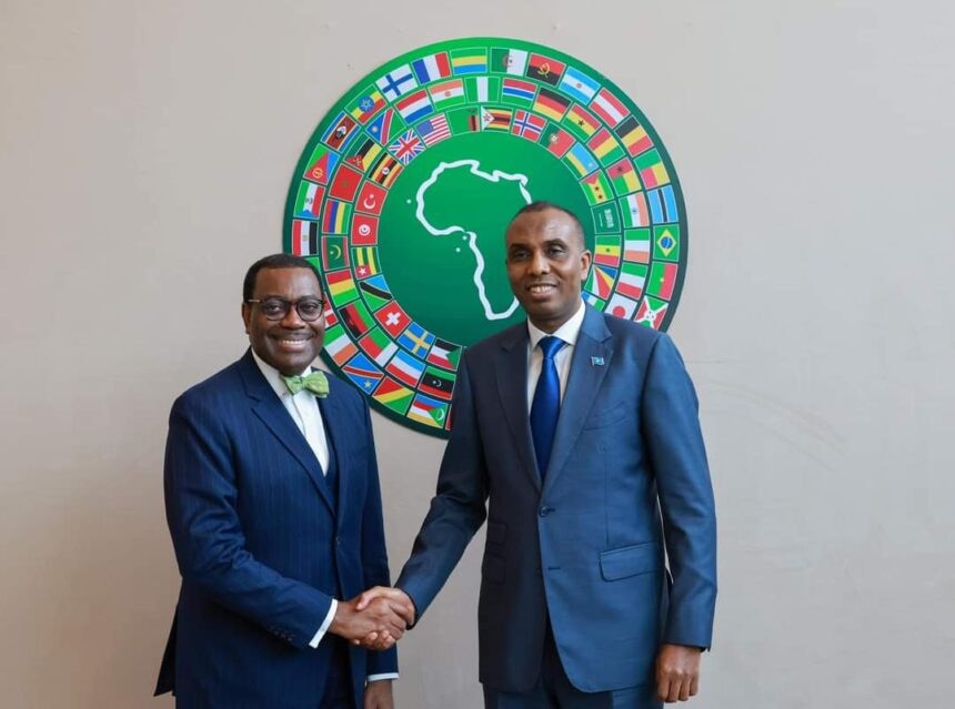 Somali Prime Minister meets AFDB President in Egypt
