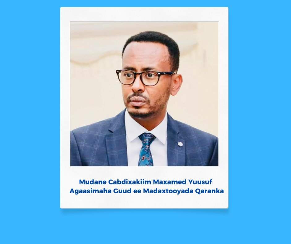 President Hassan Sheikh appoints Director General of the Presidential Palace