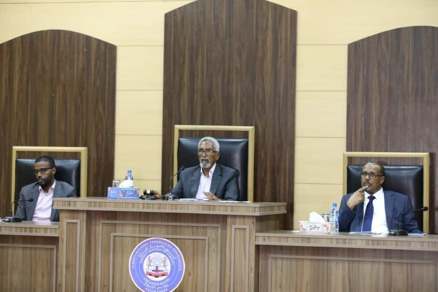Upper House of Somalia passes first reading of Auditor General's bill