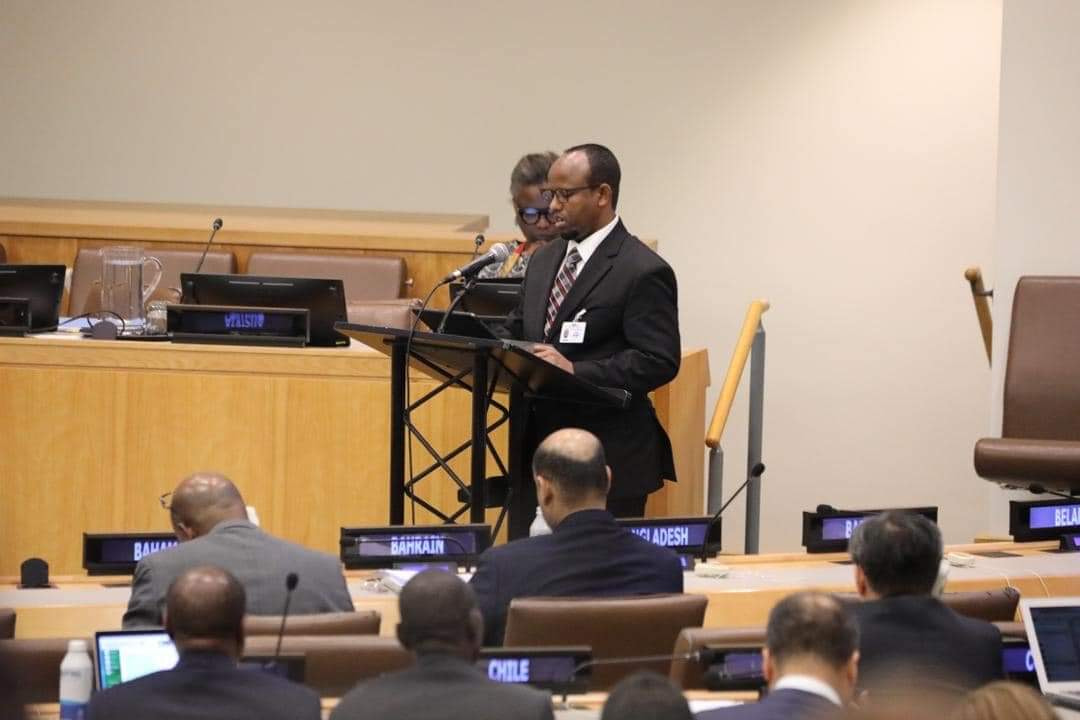 Minister of Health delivers a speech at a high-level meeting