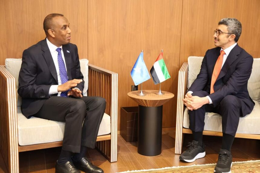 Somali Prime Minister meets with UAE Foreign Minister in New York