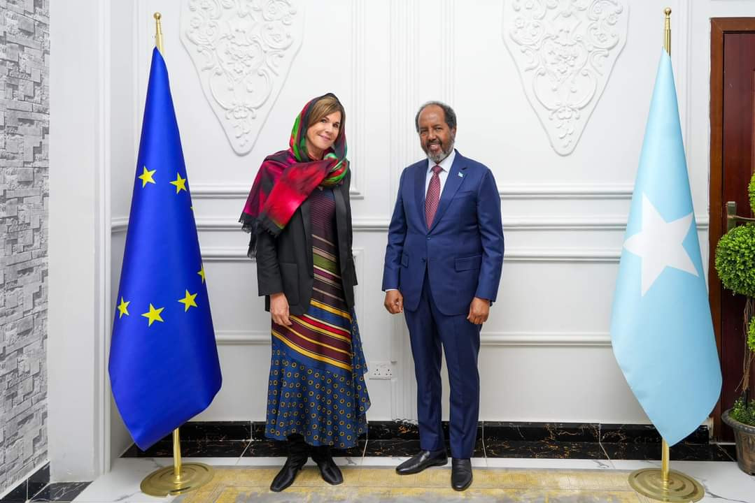 Somali President Receives New EU Ambassador in Dhusamareeb