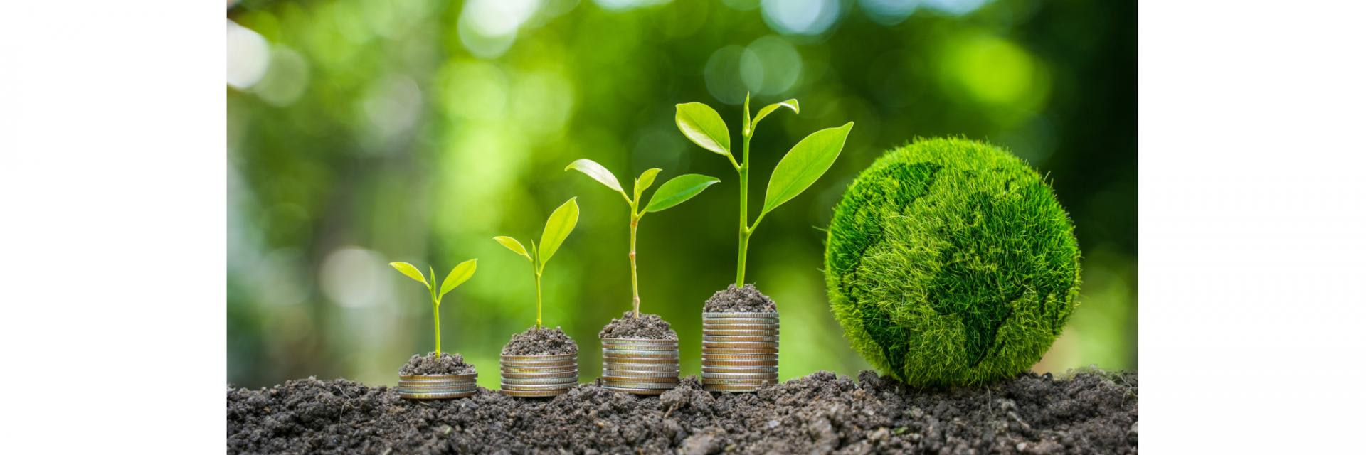 Climate Finance: Effective Domestic Debt Management is Crucial for African Countries