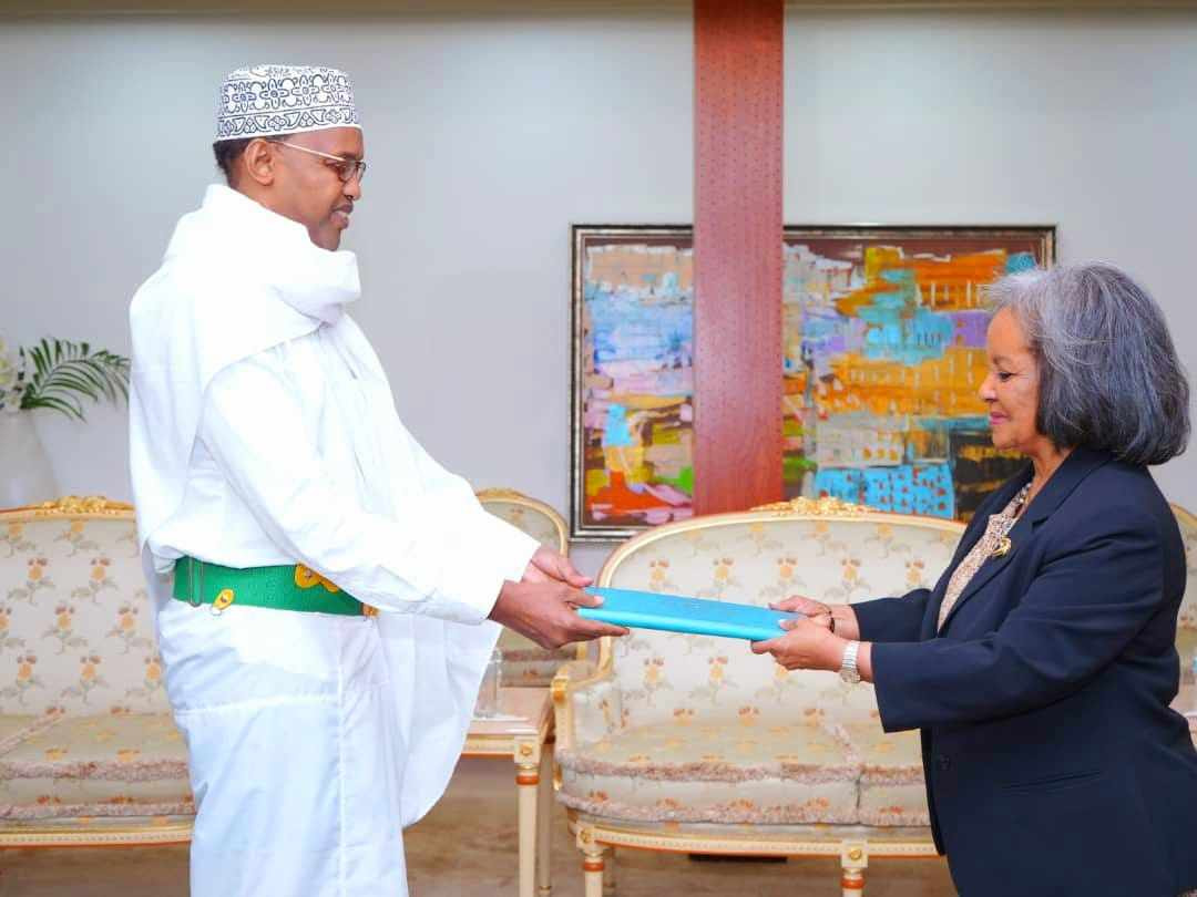 Somali Ambassador Presents Credentials to Ethiopian President, Strengthening Bilateral Ties