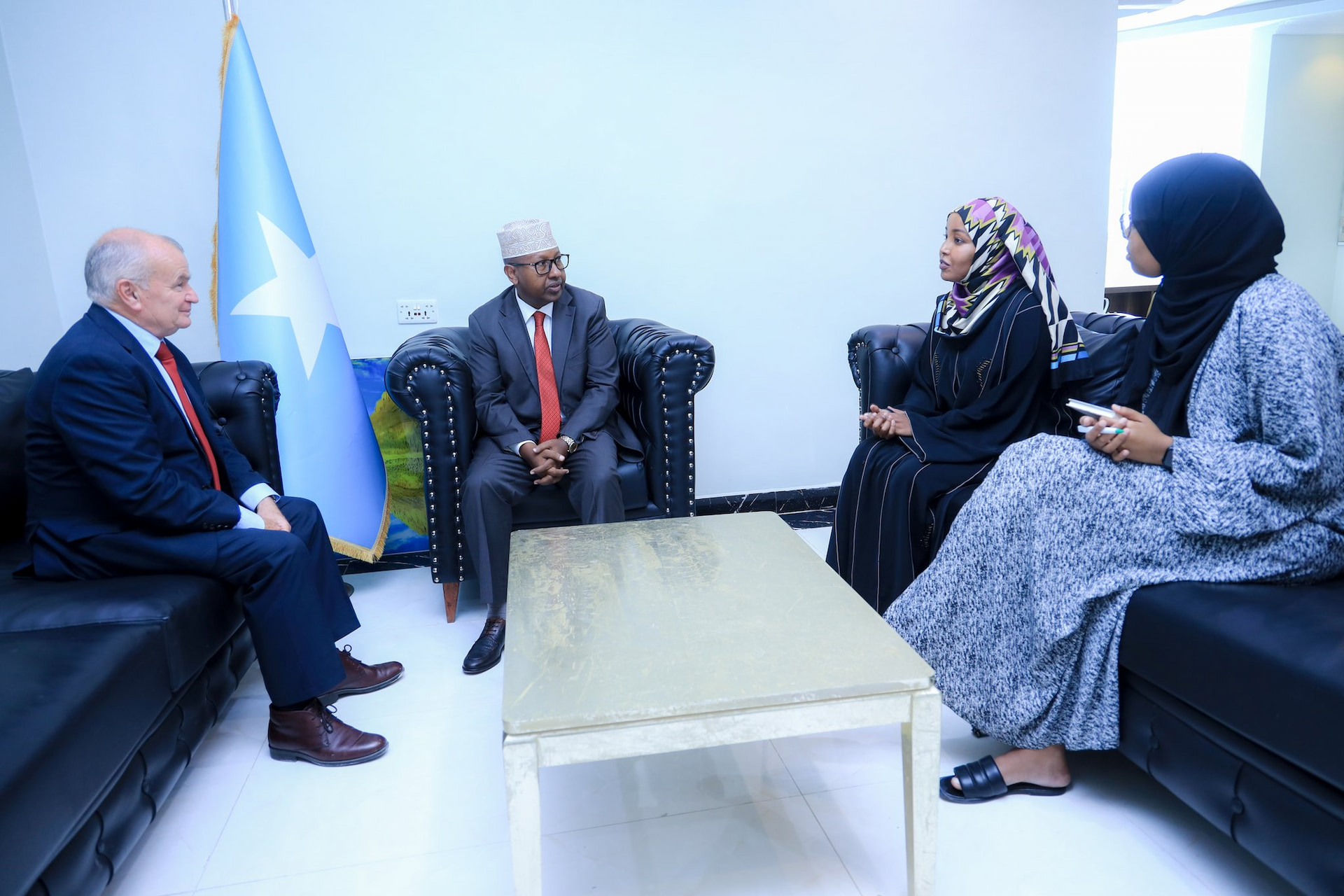 Minister of Interior receives Early Recovery Initiative adviser